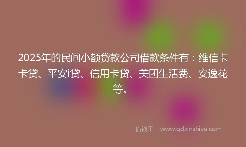 2025年的民间小额贷款公司借款条件有：维信卡卡贷、平安i贷、信用卡贷、美团生活费、安逸花等。