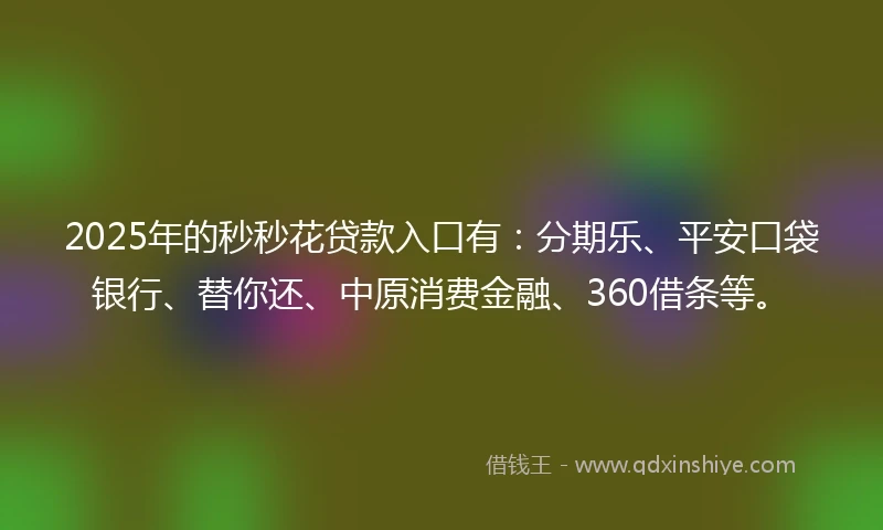2025年的秒秒花贷款入口有：分期乐、平安口袋银行、替你还、中原消费金融、360借条等。