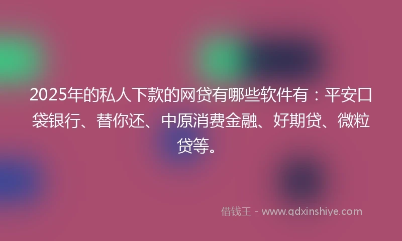 2025年的私人下款的网贷有哪些软件有：平安口袋银行、替你还、中原消费金融、好期贷、微粒贷等。