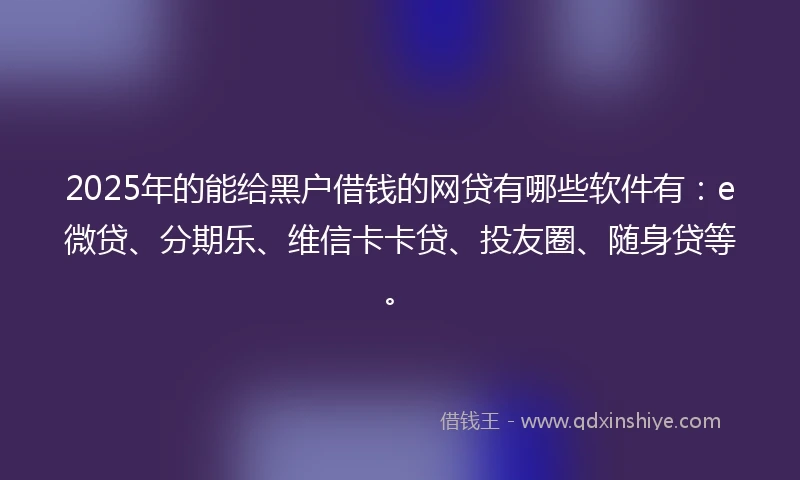 2025年的能给黑户借钱的网贷有哪些软件有：e微贷、分期乐、维信卡卡贷、投友圈、随身贷等。