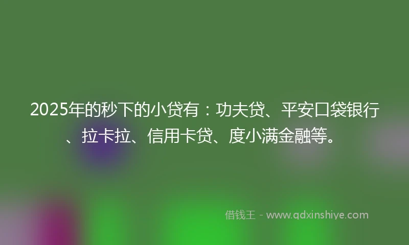2025年的秒下的小贷有：功夫贷、平安口袋银行、拉卡拉、信用卡贷、度小满金融等。
