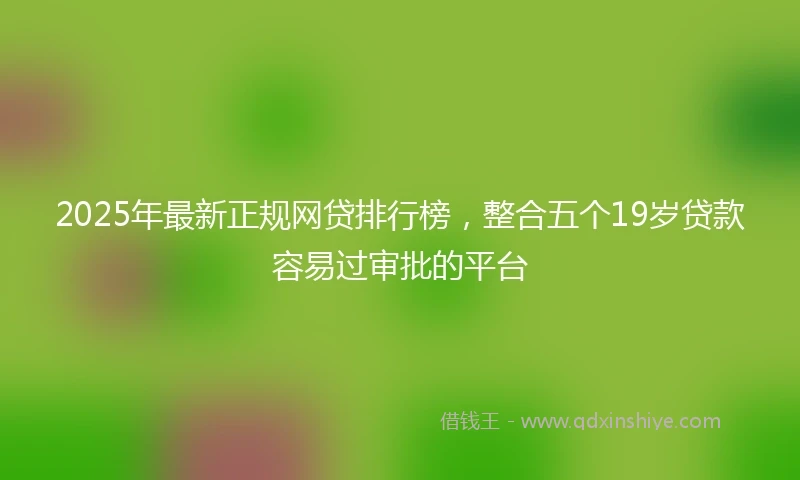 2025年最新正规网贷排行榜，整合五个19岁贷款容易过审批的平台