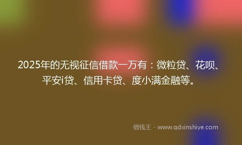 2025年的无视征信借款一万有：微粒贷、花呗、平安i贷、信用卡贷、度小满金融等。