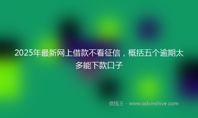 2025年最新网上借款不看征信，概括五个逾期太多能下款口子