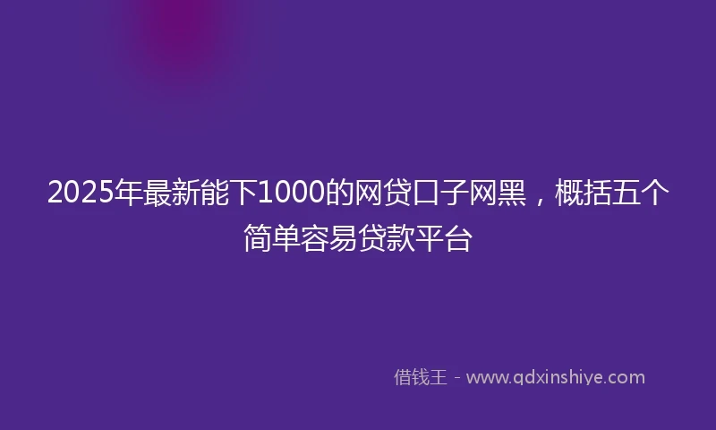 2025年最新能下1000的网贷口子网黑，概括五个简单容易贷款平台