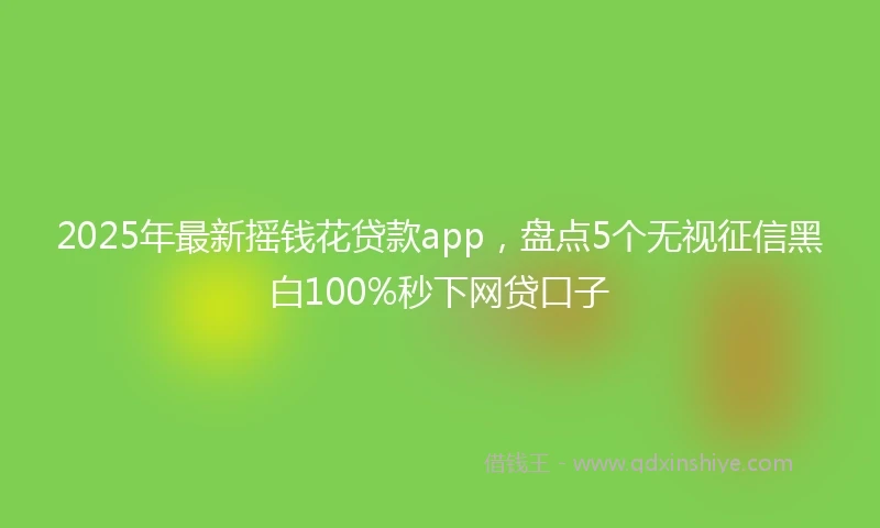 2025年最新摇钱花贷款app，盘点5个无视征信黑白100%秒下网贷口子