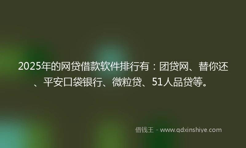 2025年的网贷借款软件排行有：团贷网、替你还、平安口袋银行、微粒贷、51人品贷等。
