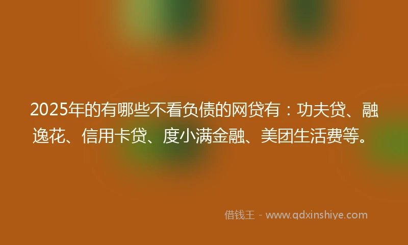 2025年的有哪些不看负债的网贷有：功夫贷、融逸花、信用卡贷、度小满金融、美团生活费等。