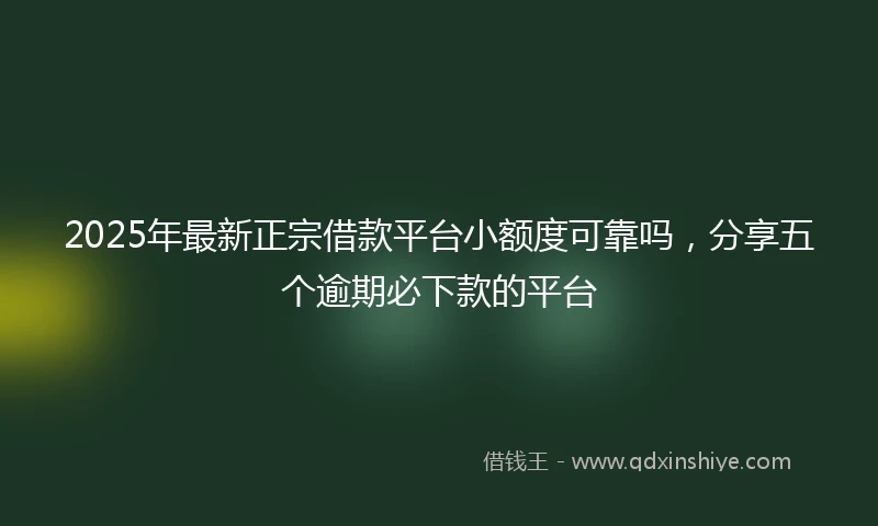 2025年最新正宗借款平台小额度可靠吗，分享五个逾期必下款的平台