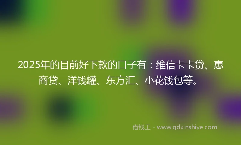 2025年的目前好下款的口子有：维信卡卡贷、惠商贷、洋钱罐、东方汇、小花钱包等。