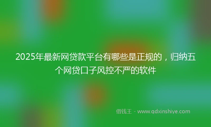 2025年最新网贷款平台有哪些是正规的，归纳五个网贷口子风控不严的软件