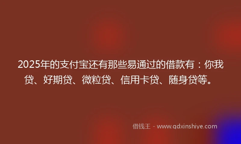 2025年的支付宝还有那些易通过的借款有：你我贷、好期贷、微粒贷、信用卡贷、随身贷等。