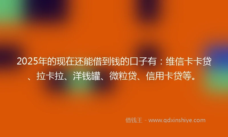2025年的现在还能借到钱的口子有：维信卡卡贷、拉卡拉、洋钱罐、微粒贷、信用卡贷等。