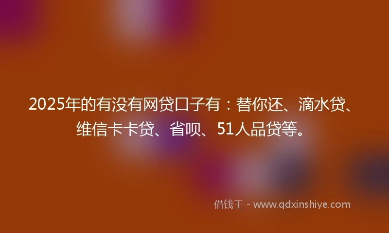 2025年的有没有网贷口子有：替你还、滴水贷、维信卡卡贷、省呗、51人品贷等。