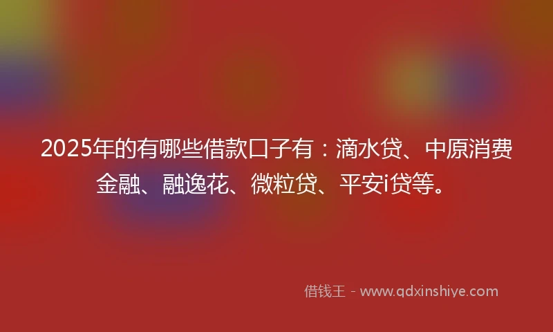 2025年的有哪些借款口子有：滴水贷、中原消费金融、融逸花、微粒贷、平安i贷等。