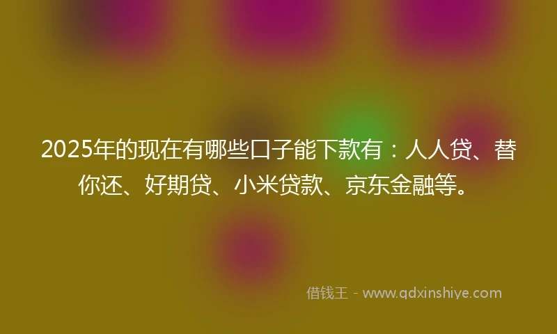 2025年的现在有哪些口子能下款有：人人贷、替你还、好期贷、小米贷款、京东金融等。
