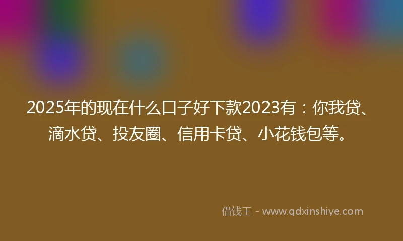 2025年的现在什么口子好下款2023有：你我贷、滴水贷、投友圈、信用卡贷、小花钱包等。
