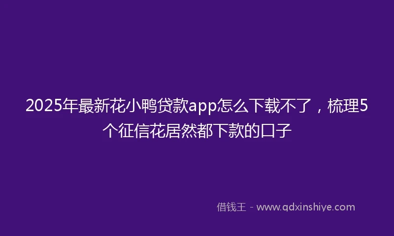 2025年最新花小鸭贷款app怎么下载不了，梳理5个征信花居然都下款的口子