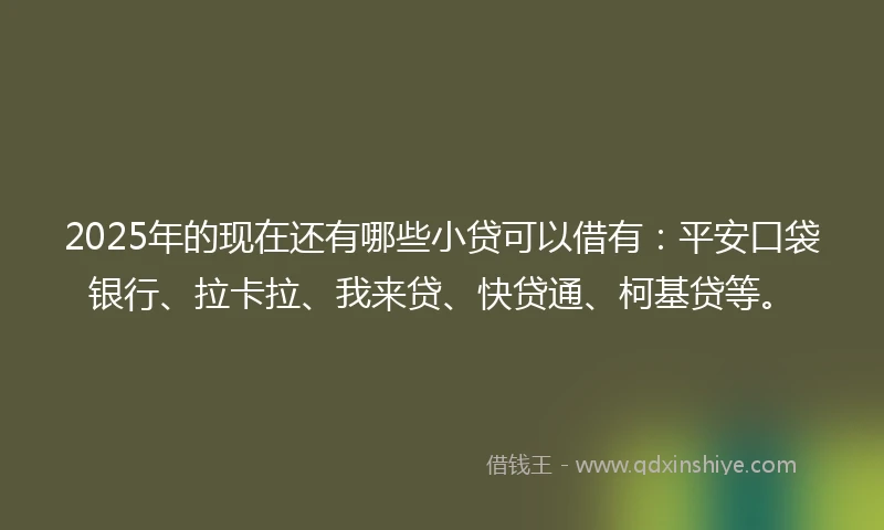 2025年的现在还有哪些小贷可以借有：平安口袋银行、拉卡拉、我来贷、快贷通、柯基贷等。