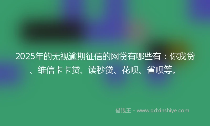 2025年的无视逾期征信的网贷有哪些有：你我贷、维信卡卡贷、读秒贷、花呗、省呗等。