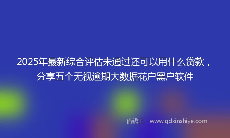 2025年最新综合评估未通过还可以用什么贷款，分享五个无视逾期大数据花户黑户软件