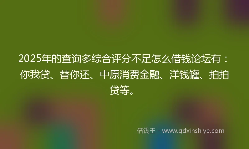 2025年的查询多综合评分不足怎么借钱论坛有：你我贷、替你还、中原消费金融、洋钱罐、拍拍贷等。