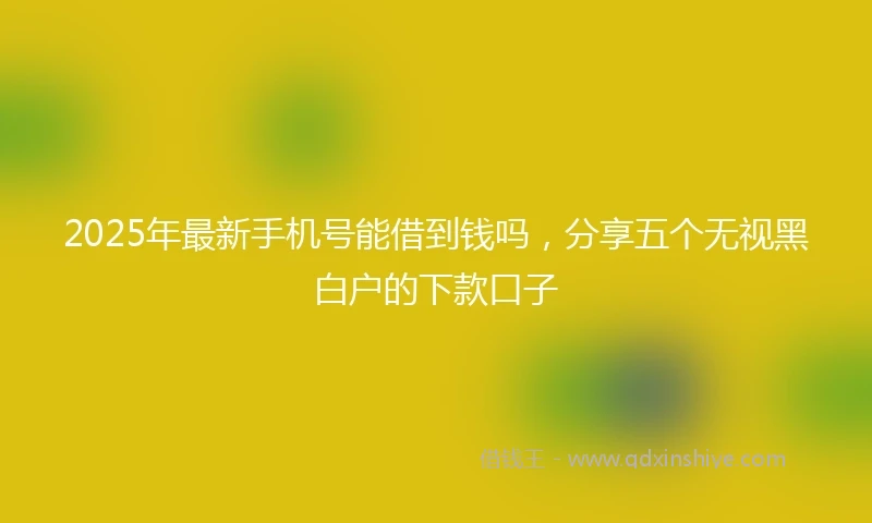2025年最新手机号能借到钱吗，分享五个无视黑白户的下款口子