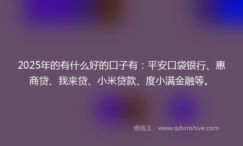 2025年的有什么好的口子有：平安口袋银行、惠商贷、我来贷、小米贷款、度小满金融等。