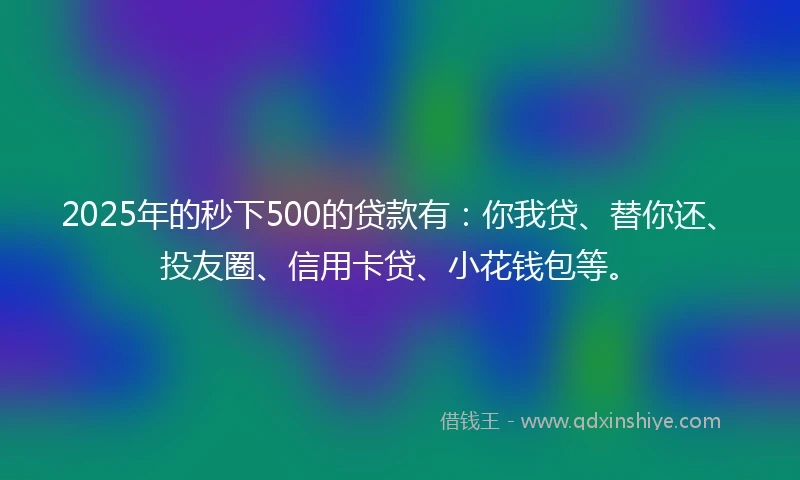 2025年的秒下500的贷款有：你我贷、替你还、投友圈、信用卡贷、小花钱包等。