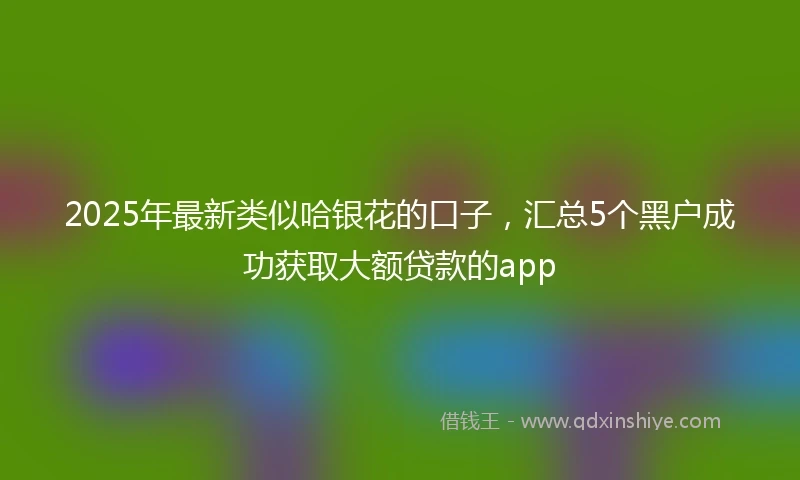 2025年最新类似哈银花的口子，汇总5个黑户成功获取大额贷款的app