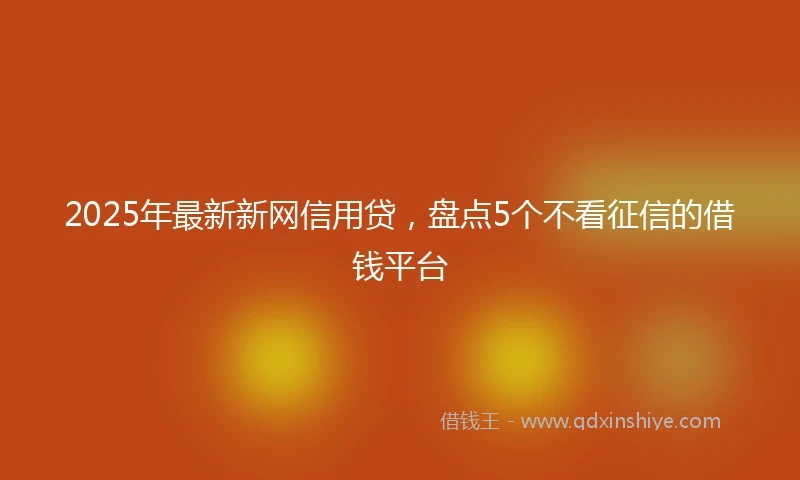2025年最新新网信用贷，盘点5个不看征信的借钱平台