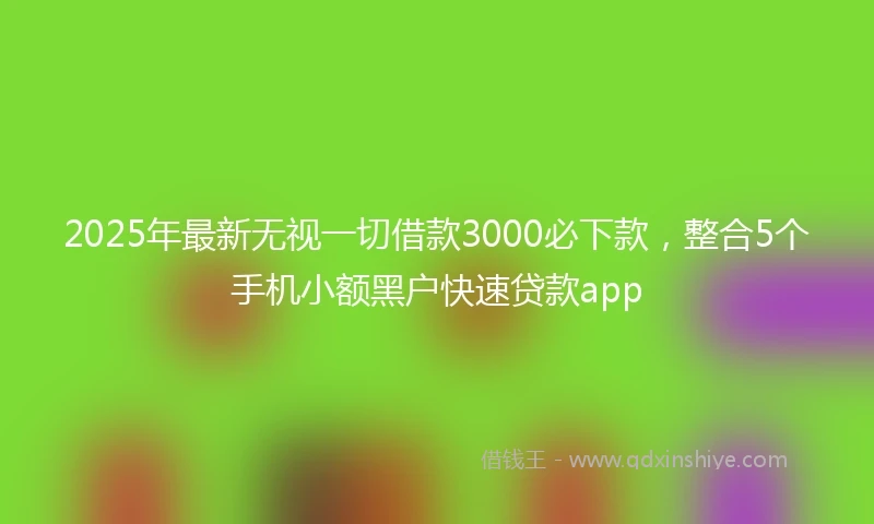2025年最新无视一切借款3000必下款，整合5个手机小额黑户快速贷款app