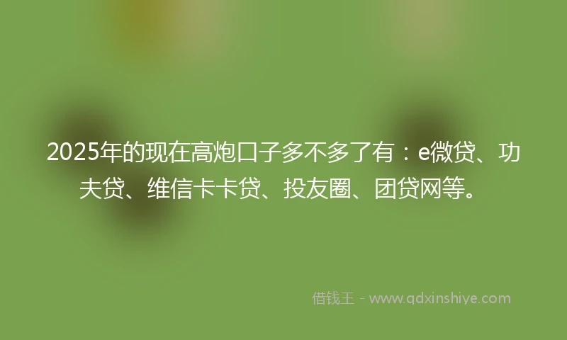 2025年的现在高炮口子多不多了有：e微贷、功夫贷、维信卡卡贷、投友圈、团贷网等。