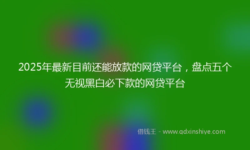 2025年最新目前还能放款的网贷平台，盘点五个无视黑白必下款的网贷平台