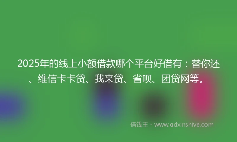 2025年的线上小额借款哪个平台好借有：替你还、维信卡卡贷、我来贷、省呗、团贷网等。