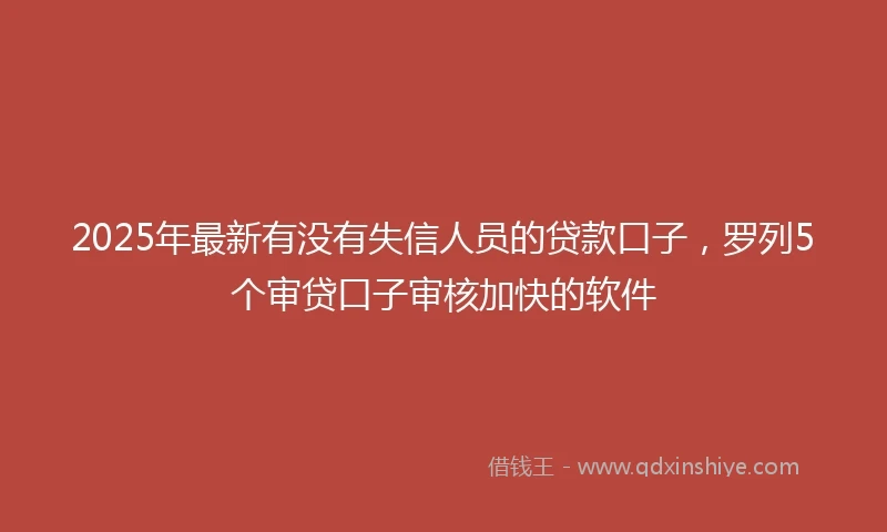 2025年最新有没有失信人员的贷款口子，罗列5个审贷口子审核加快的软件