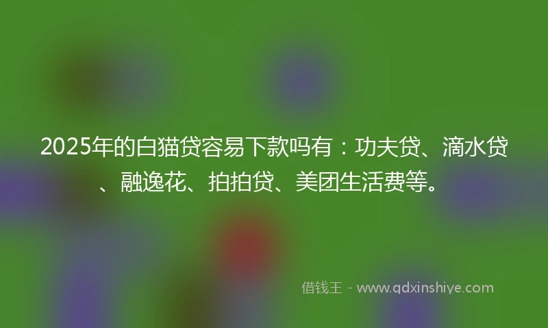 2025年的白猫贷容易下款吗有：功夫贷、滴水贷、融逸花、拍拍贷、美团生活费等。