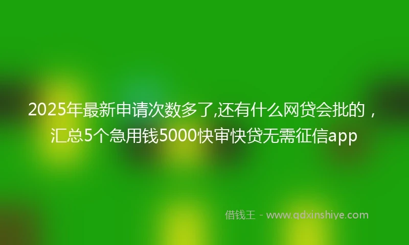 2025年最新申请次数多了,还有什么网贷会批的，汇总5个急用钱5000快审快贷无需征信app