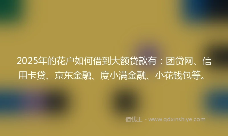2025年的花户如何借到大额贷款有：团贷网、信用卡贷、京东金融、度小满金融、小花钱包等。
