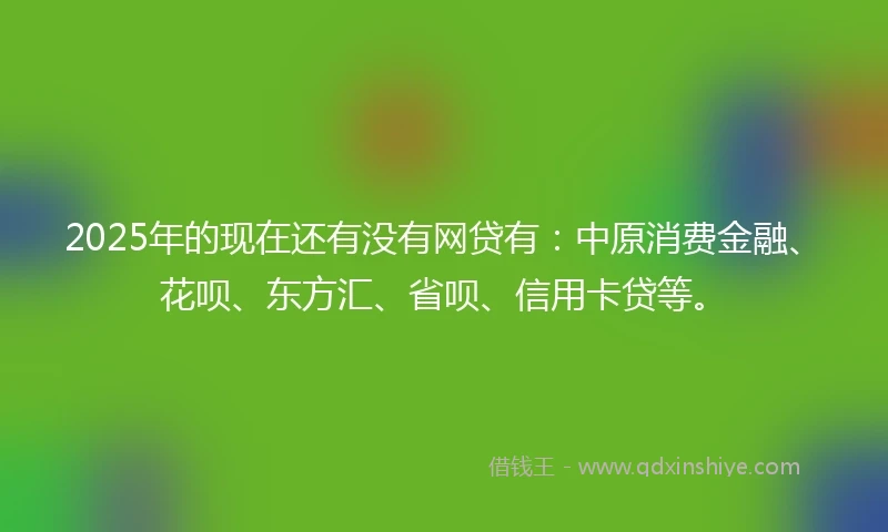 2025年的现在还有没有网贷有：中原消费金融、花呗、东方汇、省呗、信用卡贷等。
