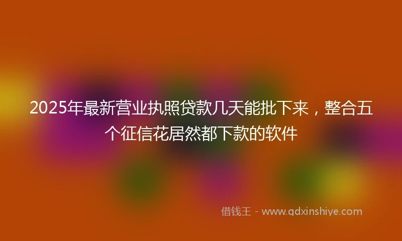 2025年最新营业执照贷款几天能批下来，整合五个征信花居然都下款的软件