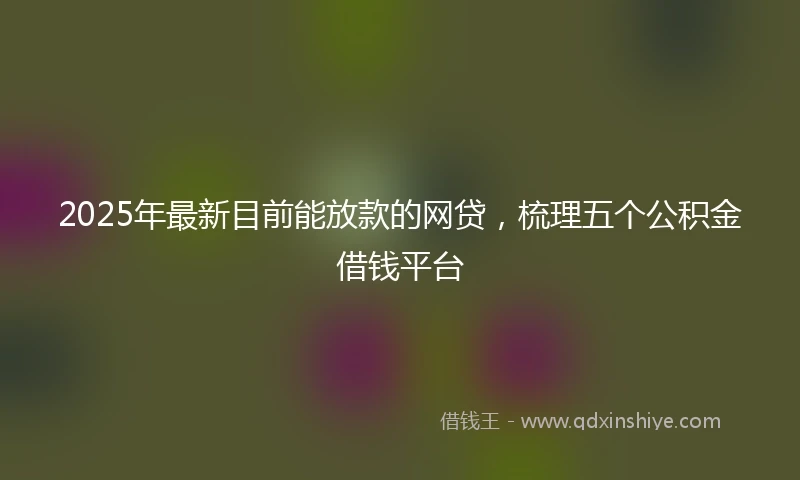 2025年最新目前能放款的网贷，梳理五个公积金借钱平台