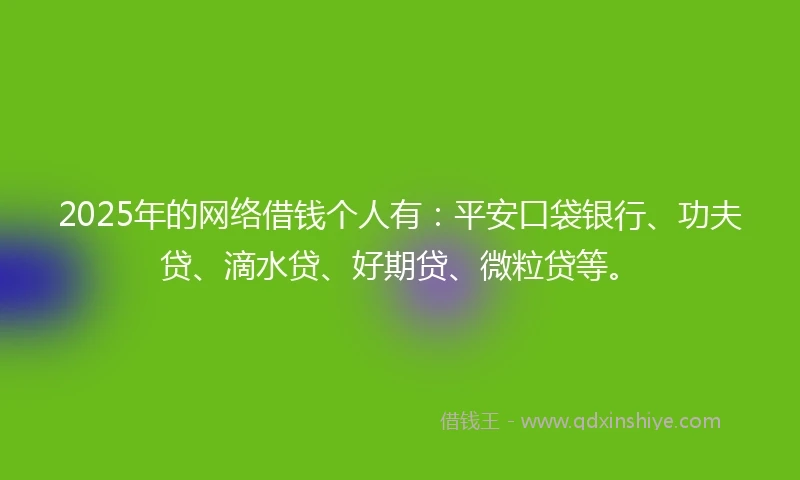 2025年的网络借钱个人有：平安口袋银行、功夫贷、滴水贷、好期贷、微粒贷等。