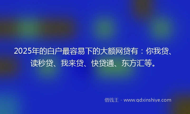 2025年的白户最容易下的大额网贷有：你我贷、读秒贷、我来贷、快贷通、东方汇等。