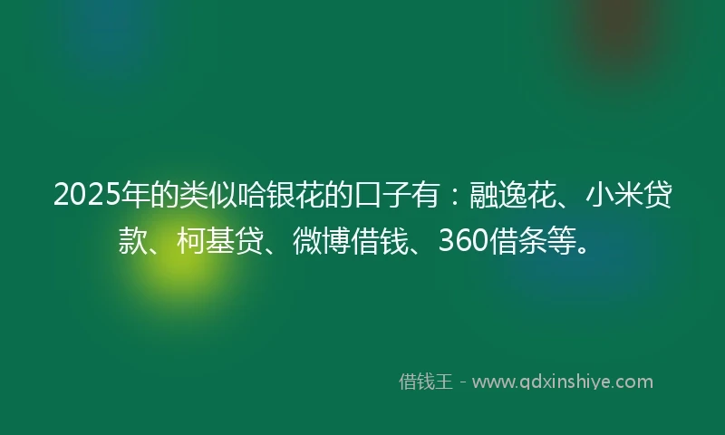 2025年的类似哈银花的口子有：融逸花、小米贷款、柯基贷、微博借钱、360借条等。