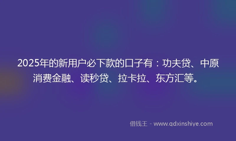 2025年的新用户必下款的口子有：功夫贷、中原消费金融、读秒贷、拉卡拉、东方汇等。