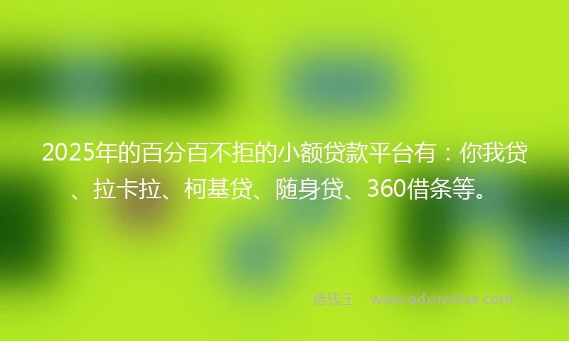 2025年的百分百不拒的小额贷款平台有：你我贷、拉卡拉、柯基贷、随身贷、360借条等。