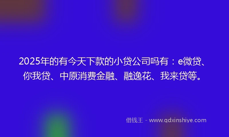 2025年的有今天下款的小贷公司吗有：e微贷、你我贷、中原消费金融、融逸花、我来贷等。