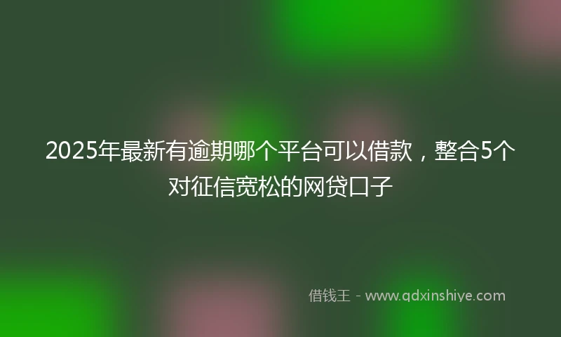 2025年最新有逾期哪个平台可以借款，整合5个对征信宽松的网贷口子
