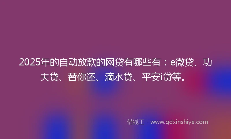 2025年的自动放款的网贷有哪些有：e微贷、功夫贷、替你还、滴水贷、平安i贷等。